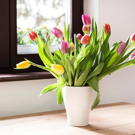 Victus Apartamenty, Abrahama Sopot