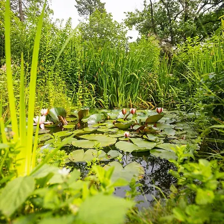 Victus Apartamenty, Abrahama Апартаменти