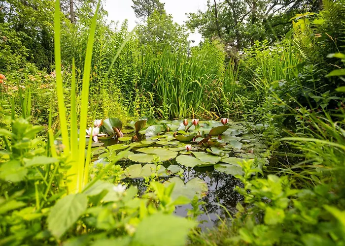 Victus Apartamenty, Abrahama Appartamento